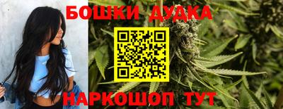 индика Малгобек