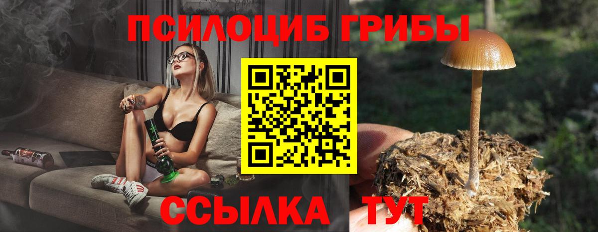 Воронеж  Галлюциногенные грибы Magic Shrooms  Псилоцибиновые грибы ЛСД  Вход с VPN 